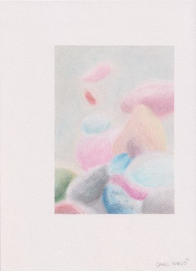 Carel Marso | Up-close 31