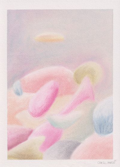 Carel Marso | Up-close 32