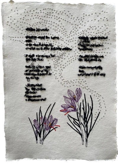 Johanne Allard | Saffron (Iran)