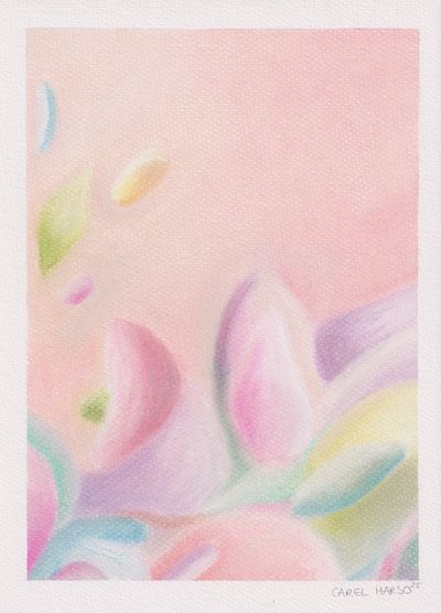 Carel Marso | Up-close 28