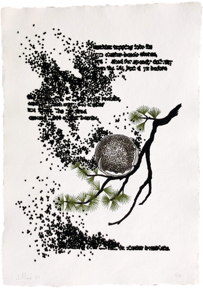 Johanne Allard | Bomblet (Lebanon)