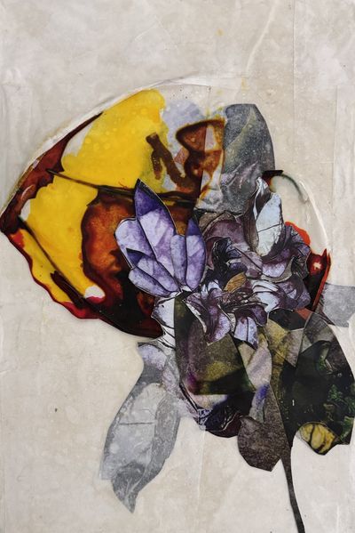 Flo Arnold – The flowers are having a party