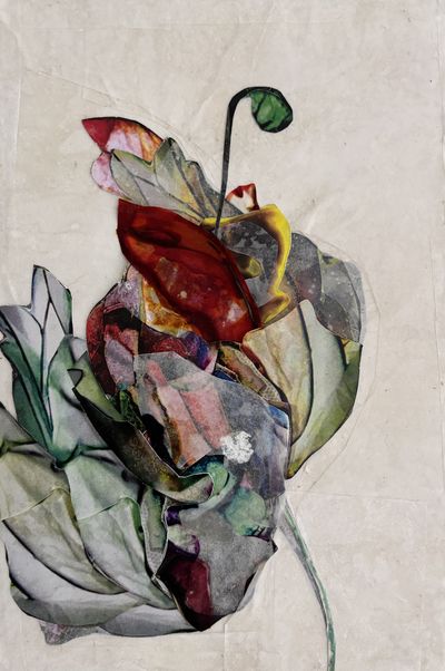 Flo Arnold – The flowers are having a party