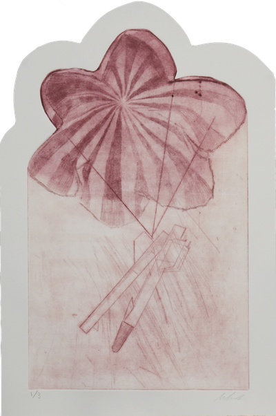 Shams Safieddine | Gift Aid