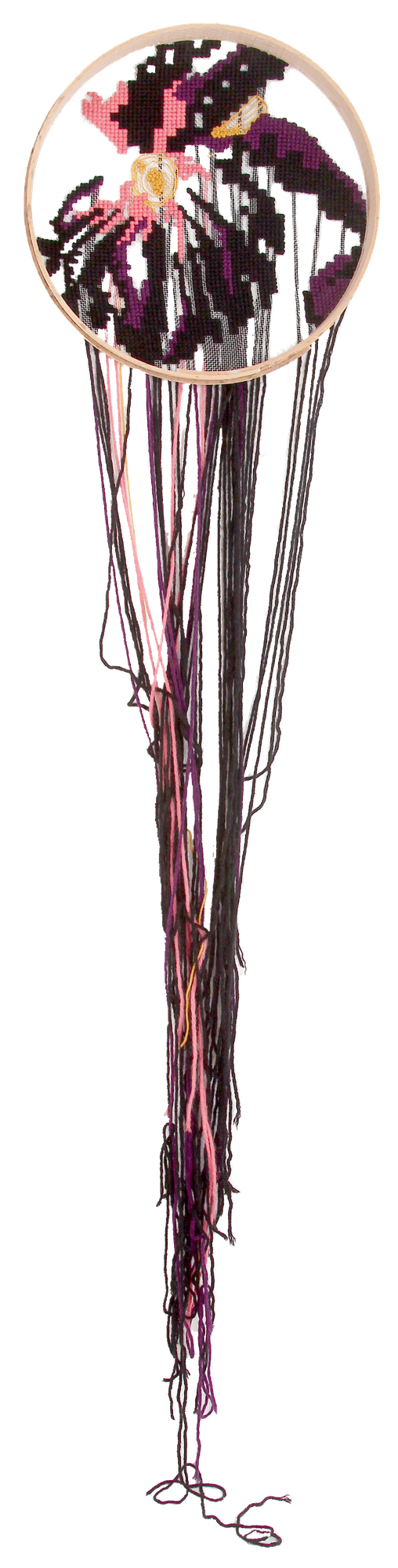 Johanne Allard - Black Iris I