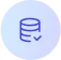 data icon