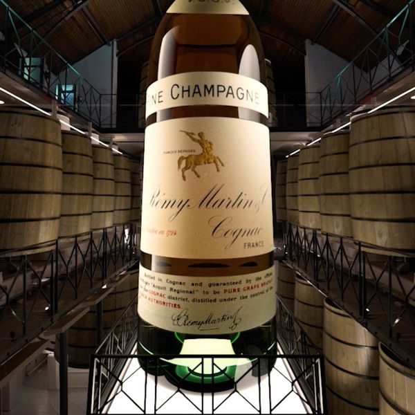 Rémy Martin - Voyage temporel