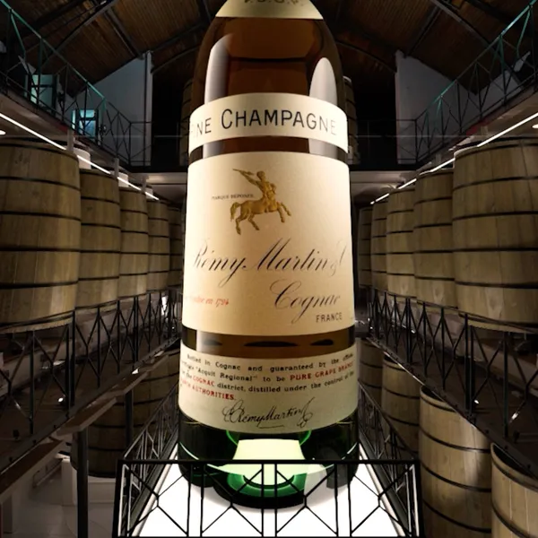 RÃÂ©my Martin – Time travel