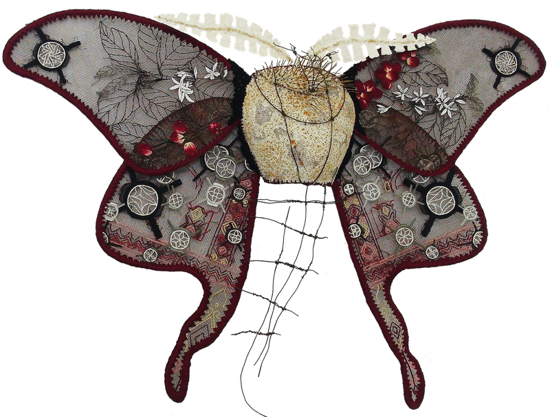 Johanne Allard | Qamariya Moth (Yemen)